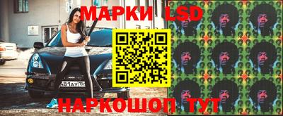 стаф Бердск