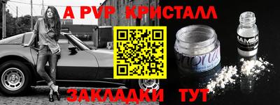 стаф Бердск