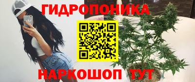 стаф Бердск