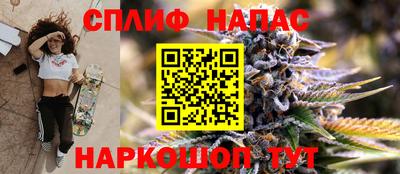стаф Бердск