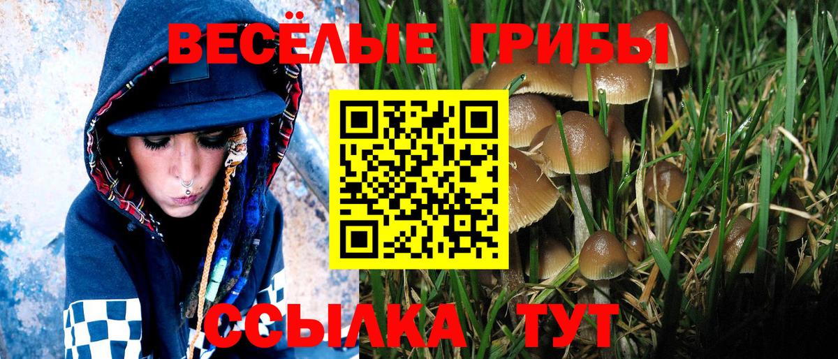 Псилоцибиновые грибы мухоморы  Вход с VPN  Псилоцибиновые грибы Cubensis  Воркута 